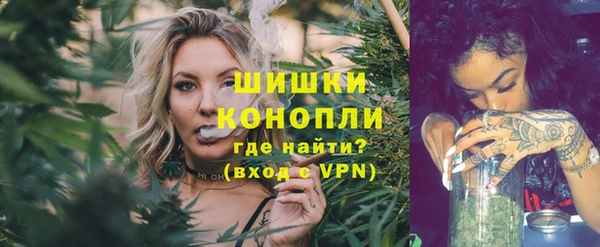 PSILOCYBIN Арсеньев